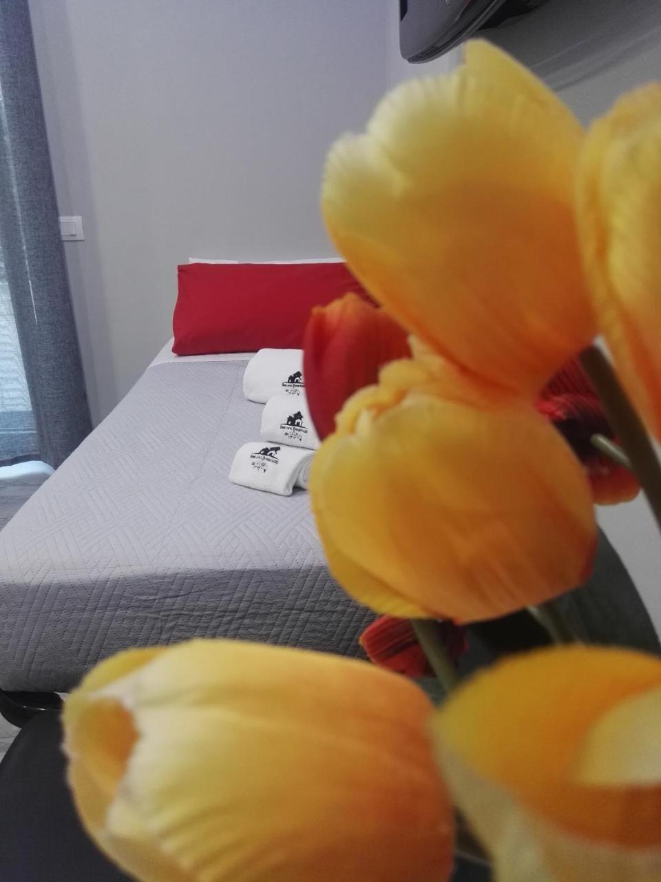 B&B Da Lillo Frosinone Bagian luar foto